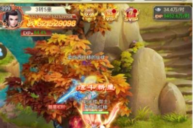 一剑倾城仙府攻略